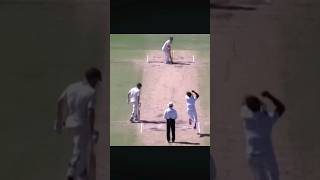 David Warner run out in test match 🏏 shortsvideo shorts ipl2024 [upl. by Assilak]