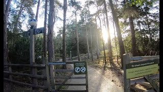 Walking Tour of Sherwood Forest  Center Parcs [upl. by Judie458]