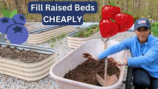 Filling Raised Beds  Moving Strawberry amp Blueberry Plants 🍓💙 [upl. by Hoisch]