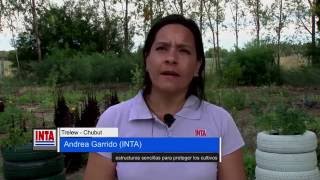 INTA Chubut  Abriendo Tranqueras  Microtúneles de fácil construcción [upl. by Frederigo]