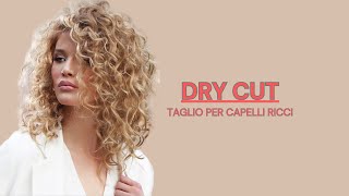 Tagli Per Capelli Ricci 2024 Dry Cut [upl. by Bess]