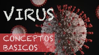 Virus virión viroide y provirus conceptos básicos [upl. by Roswell]