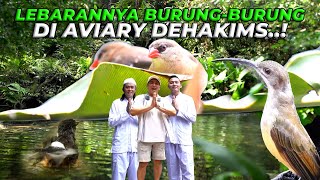 BUKTI KALO KOLAM DAN SUNGAI DI AVIARY MENJADI SUMBER KEHIDUPAN EKOSISTEM AVIARY [upl. by Yenettirb]