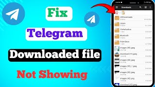 How To Find Downloaded Media Files On Telegram App  Fix downloaded Media files not showing 2024 [upl. by Cavill]