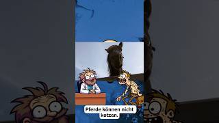 Tierisch  Wusstest Du Dass comedy humor lachen deutsch facts witzig animation lol [upl. by Olva]