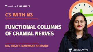 C3 with N3 Functional columns of cranial nerves  Dr Nikita Nanwani [upl. by Linker]