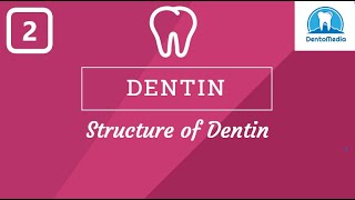 DENTIN STRUCTURE OF DENTIN [upl. by Imas]