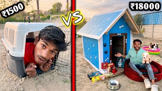 Overnight Survival Challenge  Low budget pet house Challenge 🏠 PET STORE ITEMS ONLY [upl. by Long]