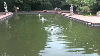 Video of Hopeland Gardens Aiken SC [upl. by Ranice886]