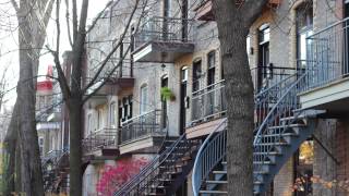 Du houblon sur les balcons [upl. by Domela16]