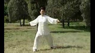 Hunyuan Taijiquan 24 [upl. by Britt]