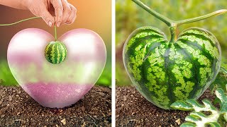 Discover New Gardening Hacks for Spring 🥕🌱🌷Beautiful Ideas for Abundant Flowers and Veggies [upl. by Lana]