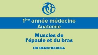 1ère année médecine Anatomie Muscles de lépaule et du bras [upl. by Atniuq841]