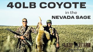 40 LB Coyote Nevada Coyote Hunting  The Last Stand S6 E5 [upl. by Iht569]