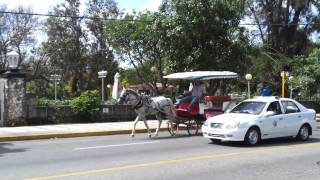 Varadero Downtown [upl. by Birchard289]