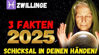 ♊ Zwillinge 2025 Beste Phase Ihres Lebens [upl. by Yortal]