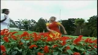 Annakiliye Sornakiliye Song  Adhisaya Piravi Movie Hd Videos Songs [upl. by Atilamrac]