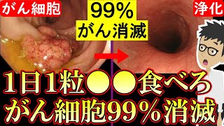 【科学的根拠あり】がんを抑制する超意外な食べ物！大腸がん肺がん乳がん胃がんの確率低下【悪性新生物｜胃癌｜原因｜膵臓がん】 [upl. by Sral]