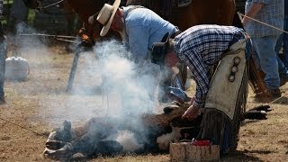 Cattle Branding [upl. by Sparhawk]