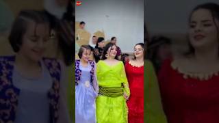 halparke kurdishdance dance [upl. by Fusuy642]