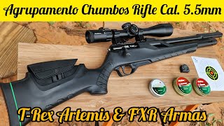 AGRUPAMENTO CARABINA PCP TREX 55MM COM CHUMBOS RIFLE DESTROYER RIFLE ROUND E RIFLE DOME [upl. by Latnahc437]