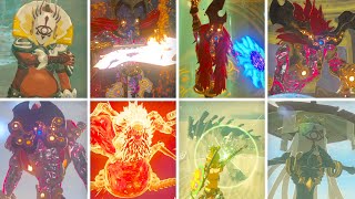 Zelda Breath of the Wild  DLC  All Bosses No Damage Master Mode [upl. by Ahsyak684]