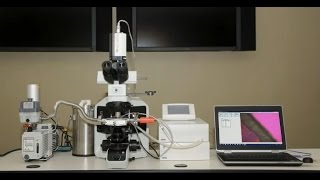 FreezeDry Microscopy  Lyophilization Cycle Development [upl. by Anirtek561]