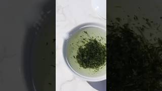 【Sugimoto Tea】Making Gyokuro in the Aritayaki Teapot Hakuji Houhin [upl. by Attenoj]