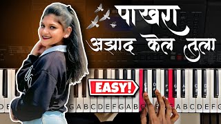 Pakhara Aazad Kela Tula  Piano Tutorial  पाखरा आझाद केलं तुला । Kishor Jawale KK । Ash King Piano [upl. by Nanyt]