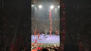 Circus circus Ringling Bros and Barnum amp Bailey Greensboro coliseum [upl. by Greabe]