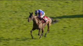 PAISLEY PARK does it again The evergreen warrior takes the 2022 Ladbrokes Long Walk Hurdle [upl. by Lorette513]