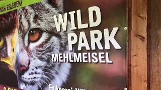 Wildpark Mehlmeisel [upl. by Ramma732]