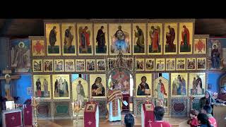 Sunday November 17 2024 930 AM  Divine Liturgy [upl. by Ardussi]