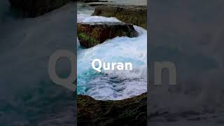 Quran❤️Sureh yaseen Tarjuma🤲🕋deenytshorts [upl. by Dralliw]