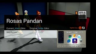 Rosas Pandan  Asin  Karaoke  HD [upl. by Alios]