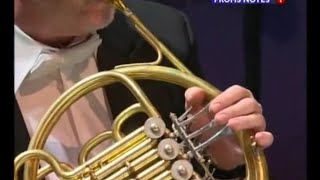 Mahlers 7th Symphony First horn solo [upl. by Yezdnil]