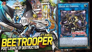 Beetrooper Ragnaraika EDOPRO  Replays 🎮  Decklist ✔️ [upl. by Alleb]