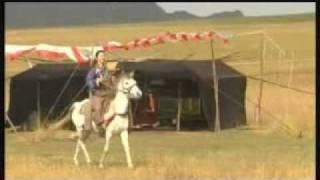 Tibetan song 2011 by Yangchen Lhamoflv [upl. by Yklam]