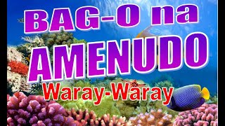 BAGO nga Amenudo  WarayWaray Amenudo 2021  WARAY MUSIC [upl. by Adekahs]