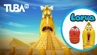 Larva Tuba 20224 Food Shaping  Cartoon Movies Top 50 Episode Mini Series From Animation Larva [upl. by Stalker]