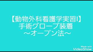 【外科実習】手術グローブ 手術手袋 装着 オープンカフメソッド 動物専門学校 トリマー 動物看護師 アクアリウム 動物のお仕事 [upl. by Yojal]