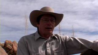 Tremors the movie  SS Wilsons Stories  the idea behind the film [upl. by Nerty]