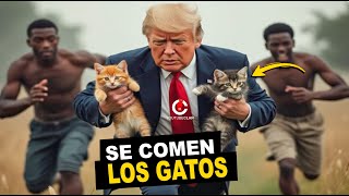 Haitianos invaden USA y SE COMEN Los GATOS DE LOS VECINOS [upl. by Keon]