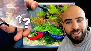 Adding to Betta Fish Ikebana Tank  4ft Aquarium Plants  Bowling My Children [upl. by Idnim]