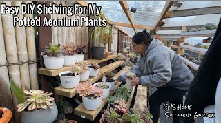 Easy and Quick DIY Shelving for My Succulents Potted Plants [upl. by Onitnas740]