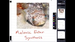 Malonic Ester Synthesis [upl. by Nnylaj]