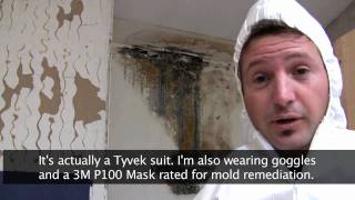 Killing Toxic Black Mold  How to Remove Mold Safely [upl. by Adnahs]