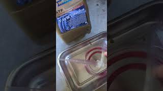 DIY Transmission Fluid Change  2019 VW Tiguan [upl. by Ajdan858]