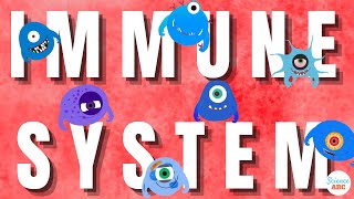 Immune System Innate and Adaptive Immunity Explained [upl. by Markos]