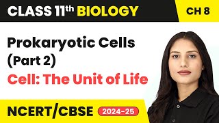 Prokaryotic Cells Part 2  Cell The Unit of Life  Class 11 Biology Chapter 8  CBSE 202425 [upl. by Pren]